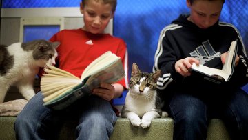 Кошка – учитель чтения